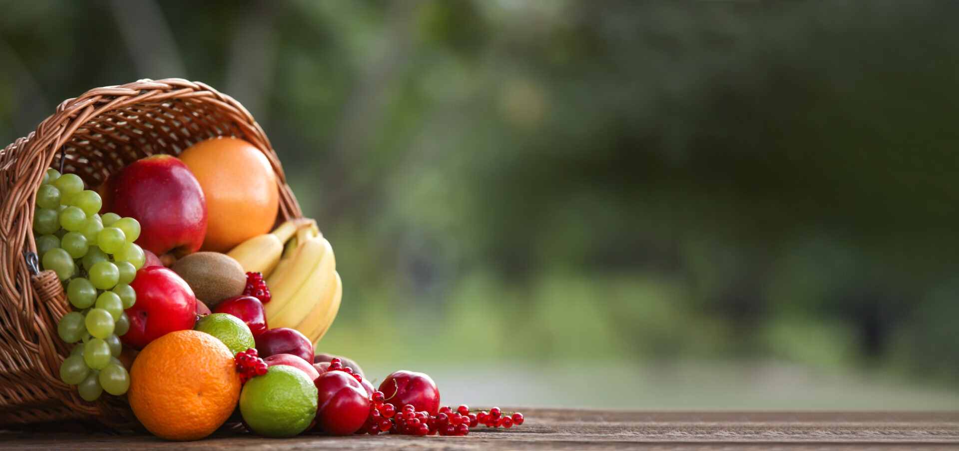 Clima e solo do Brasil garantem variedade de frutas o ano todo