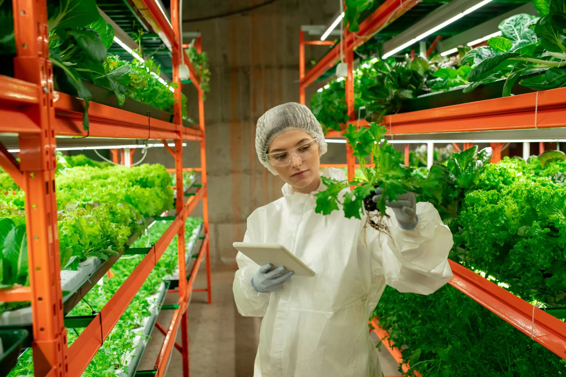 o protagonismo feminino no agro 3