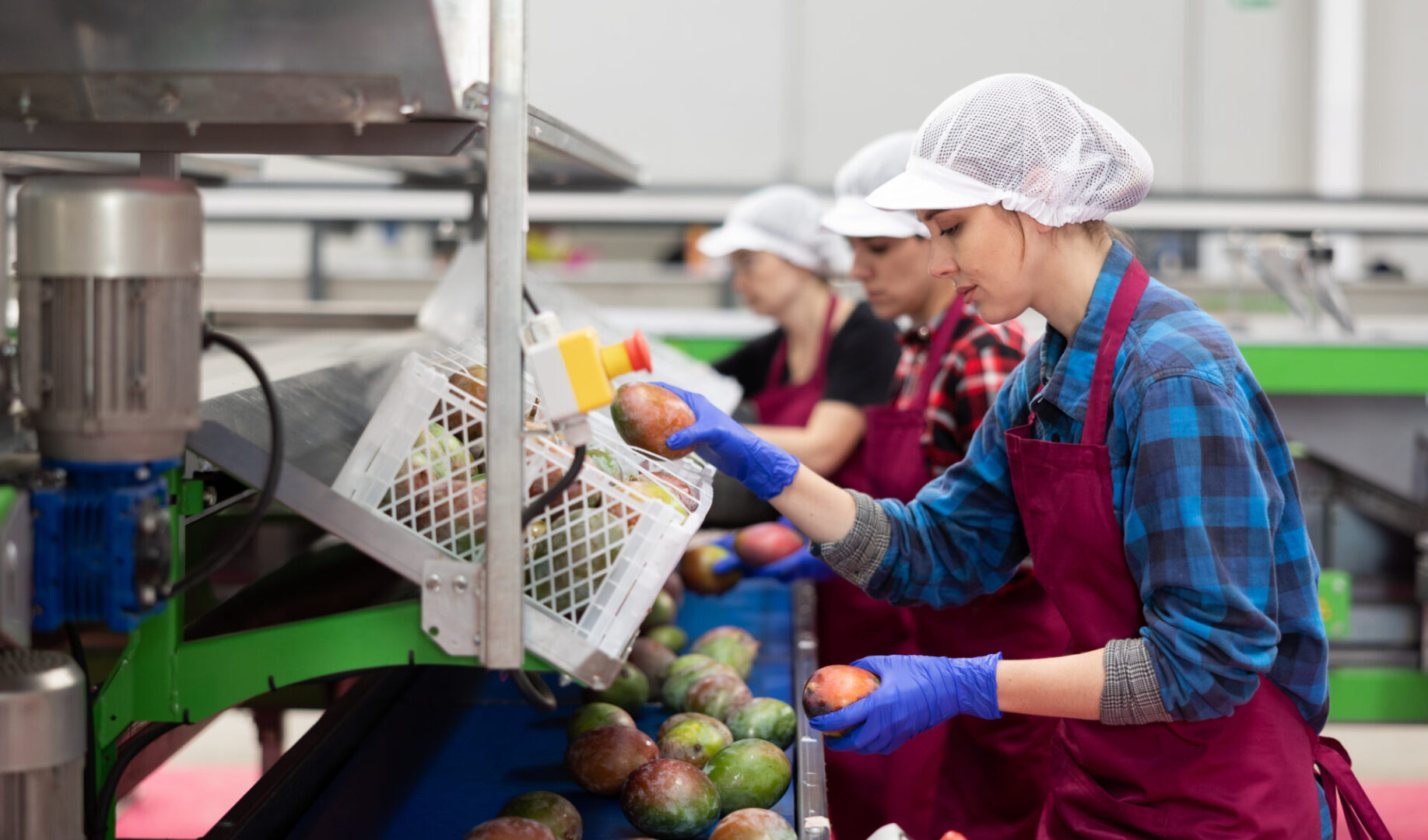 o protagonismo feminino no agro 2