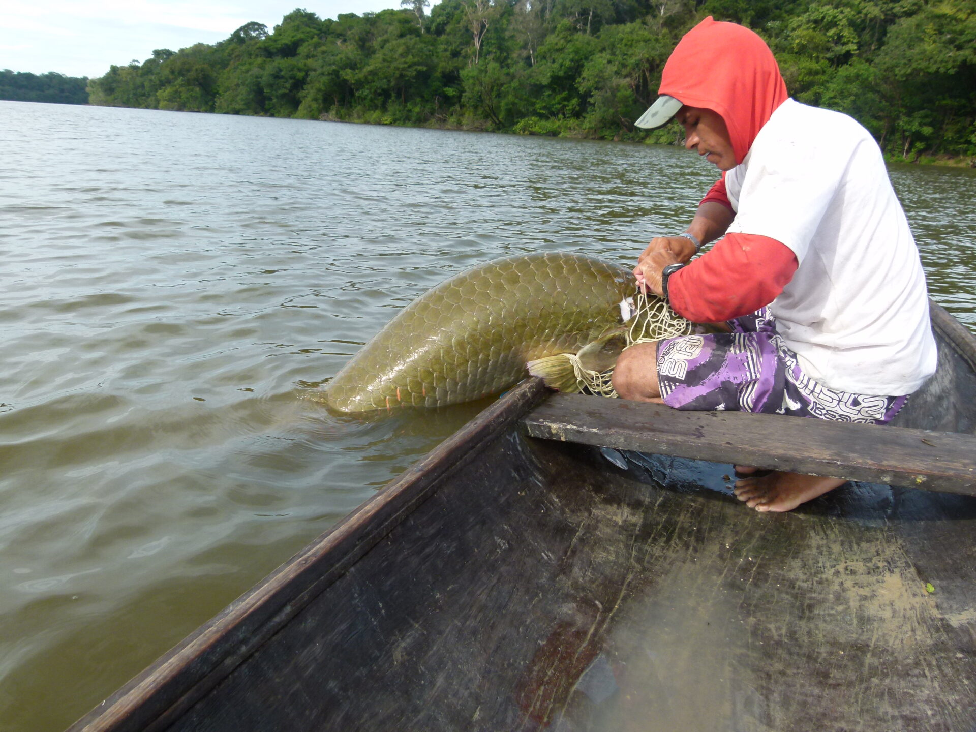 sociobiodiversidade pescado